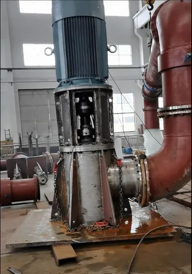Pompa a turbina ad elica assiale/a flusso misto in acciaio inossidabile duplex ad albero lungo verticale ad alta temperatura per il controllo delle inondazioni, la desalinizzazione dell'acqua di mare e i processi chimici